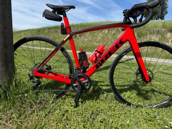 Trek, Domane Shimano Ultegra