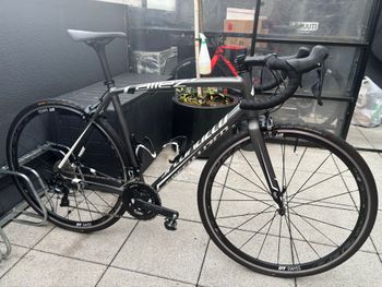 Specialized, Allez Shimano Ultegra