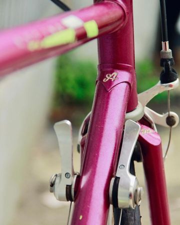 Atala Special 1985 Road & Gravel d'occasion — image 5 sur 11