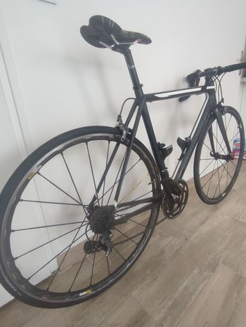 Used Cannondale Cannondale Synapse Carbon Ultegra 2017 Road & Gravel