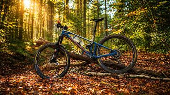 Mondraker, Mondraker Foxy R