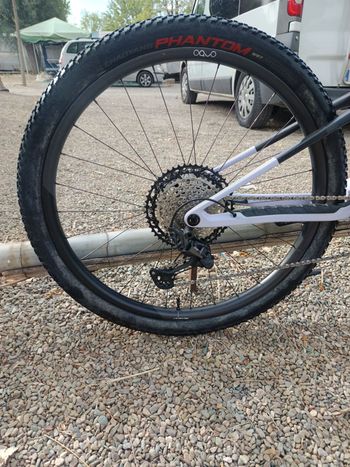 Used Orbea OIZ M-PRO 2024 2024 Mountainbike, White, 29 — image 3 of 5