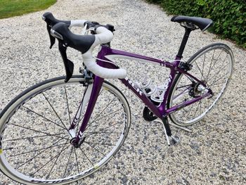 Used Trek Silque S Compact 2015 2015 Road & Gravel, Purple — image 1 of 3