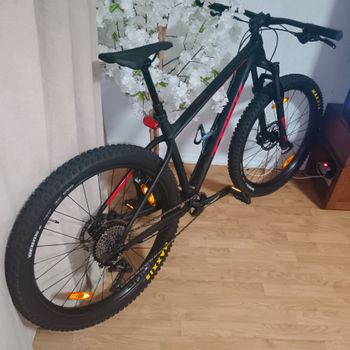 Trek, Roscoe 7 2019