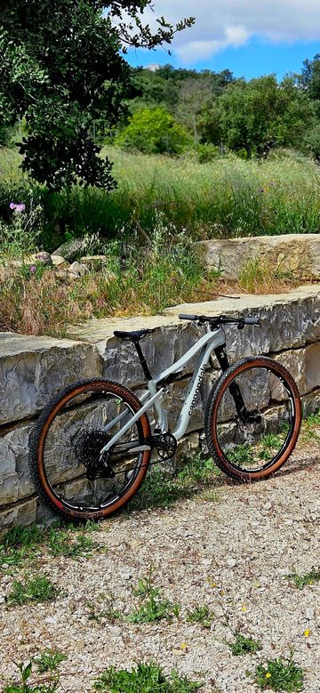 Used Cannondale Scalpel SRAM X0 Eagle AXS (T-Type) 2026 Mountainbike, Light Gray — image 3 of 16