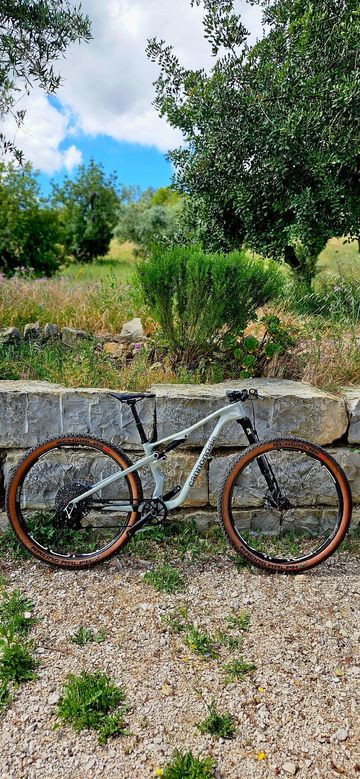 Gebrauchtes Cannondale Scalpel SRAM X0 Eagle AXS (T-Type) 2026 MTB