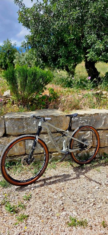 Used Cannondale Scalpel SRAM X0 Eagle AXS (T-Type) 2026 Mountainbike, Light Gray — image 4 of 16
