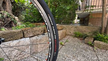Used Fontana Custom Other Campagnolo 2016 Road & Gravel, Black — image 13 of 15