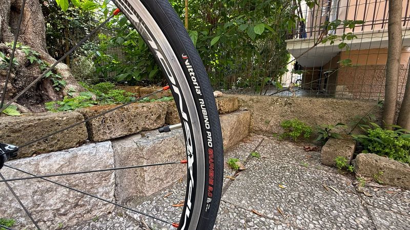 Used Fontana Custom Other Campagnolo 2016 Road & Gravel, Black — image 13 of 15