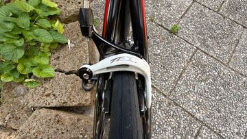 Used Fontana Custom Other Campagnolo 2016 Road & Gravel, Black — image 5 of 15