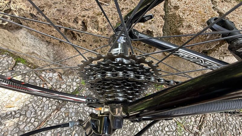 Used Fontana Custom Other Campagnolo 2016 Road & Gravel, Black — image 11 of 15