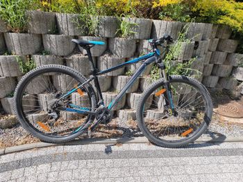 Kellys, SPIDER 50 29" 2021