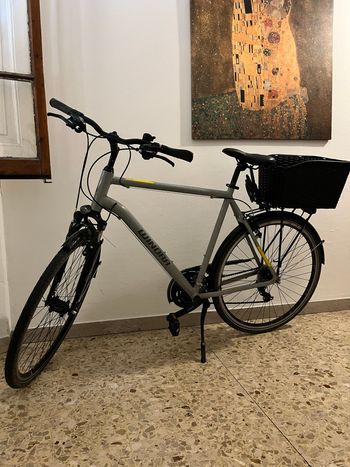 Winora, DOMINGO Shimano 105