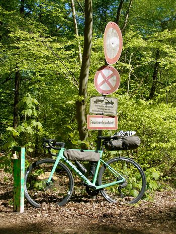 Focus, IZALCO MAX DISC 8.8 2021 Frameset