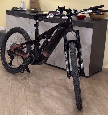 Haibike, HYBE CF 11 2025