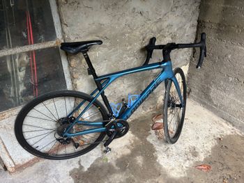 Used Lapierre Xelius SL 5.0 2023 2023 Route & Gravel