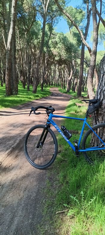 Used Vitoria Nyxexplorer 2025 Road & Gravel — image 3 of 3