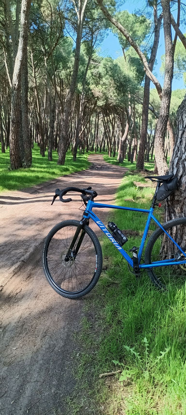 Used Vitoria Nyxexplorer 2025 Road & Gravel — image 3 of 3