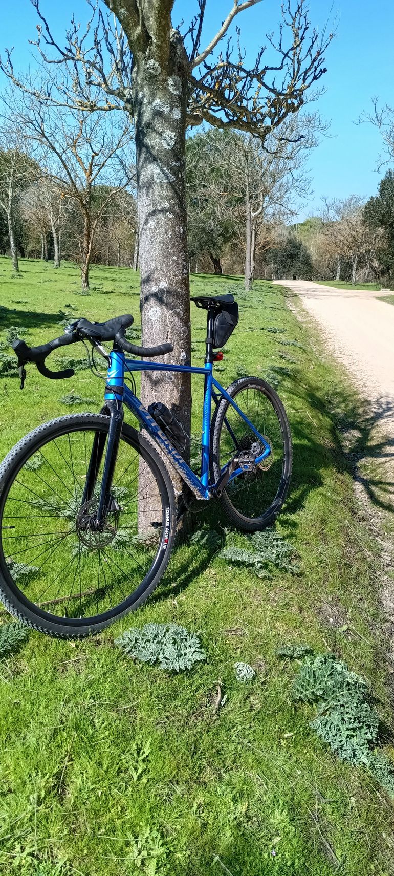 Used Vitoria Nyxexplorer 2025 Road & Gravel — image 2 of 3
