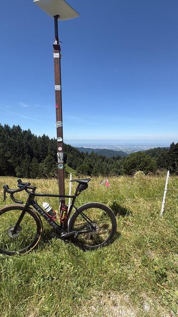 Brugt Focus Izalco Max 8.8 Ultegra 2021 Road & Gravel