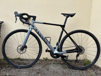 Canyon, Ultimate CF SL 7 2025