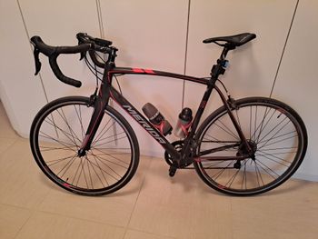 Merida, SCULTURA 400 2016
