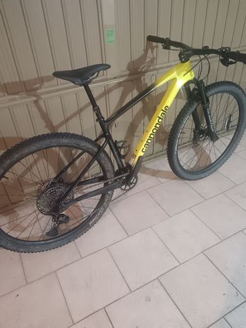 Cannondale, Scalpel HT Carbon 4 2023