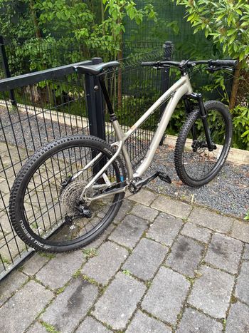 Kona, Honzo DL 2023