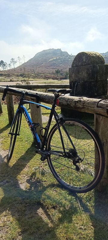 Used Wolfbike Custom Microshift 2020 Road & Gravel, Black — image 2 of 6