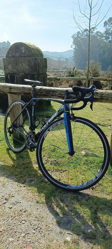 Używany Wolfbike Custom Microshift 2020 Road & Gravel