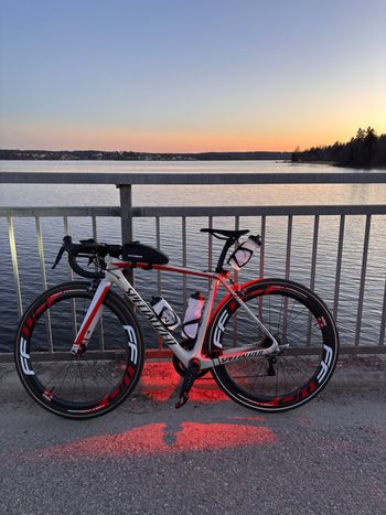 Used Specialized Tarmac Pro Race 2015 2015 Route & Gravel