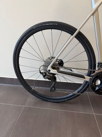 Used Canyon Endurace CF 7 2025 2025 Road & Gravel, Light Gray — image 2 of 13