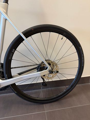 Used Canyon Endurace CF 7 2025 2025 Road & Gravel, Light Gray — image 12 of 13
