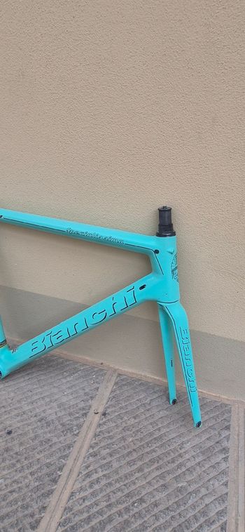 Used Bianchi Specialissima Frameset 2016 Frameset 2016 Road & Gravel, Blue — image 4 of 8