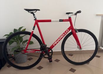 Pinarello, Alu Pista Bike 2019