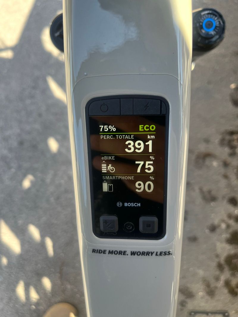 Used Santa Cruz Vala 70 2026 2026 Mountainbike, Light Gray, 29, 27.5 — image 8 of 9