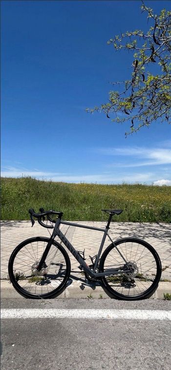 Canyon, Endurace 6 2024