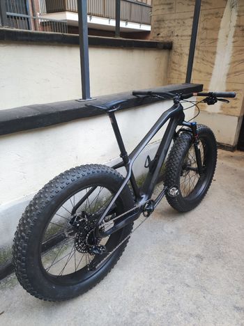 Fatbike, Fatbike Carbonio Yshunbike