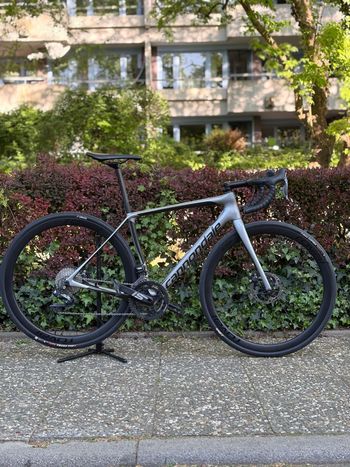 Cannondale, Synapse Carbon Disc Ultegra Di2 2019