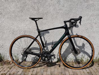 Specialized, Roubaix Sport 2019