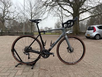Specialized, Roubaix Comp 2019