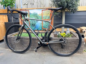Giant, Contend SL 1 Disc 2021