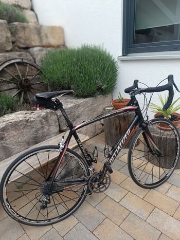 Specialized, Tarmac Shimano Dura Ace