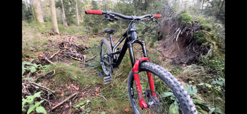 Canyon, Torque AL 5.0 2019