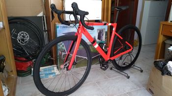 Cannondale, CAAD13 Disc 105 2024