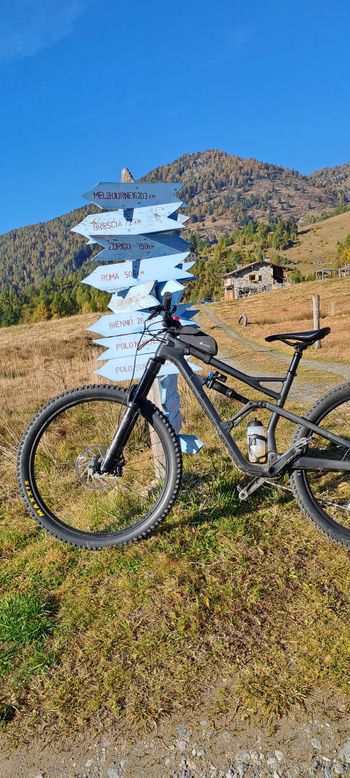 Cannondale, Jekyll Carbon 29 3 2020