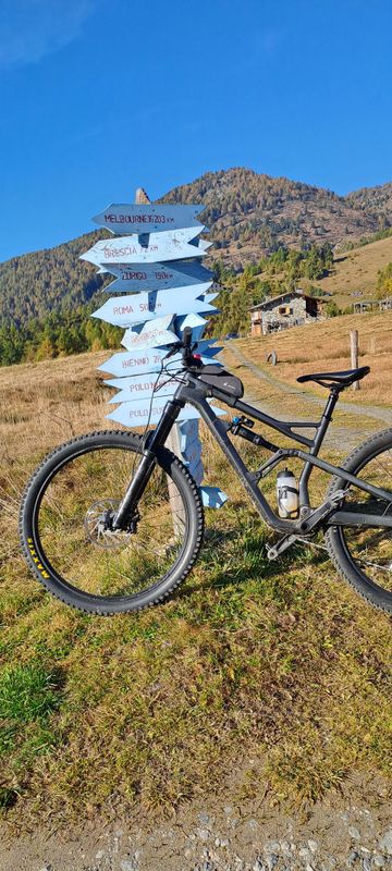 Cannondale Jekyll Carbon 29 3 2020 2020 MTB usato