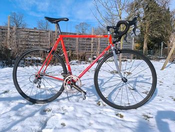 Colnago, Colnago Master Campagnolo Chorus Record 11s DT Swiss Oxic