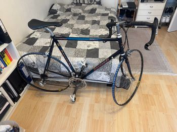 Daccordi, Mitico / 60 Cm / Black Blue / Columbus EL Campagnolo