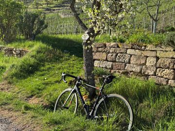 Used Wilier Custom Campagnolo Super Record EPS 2017 Road & Gravel, Black — image 2 of 3